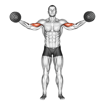dumbbell high curl