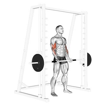 smith machine bicep curl