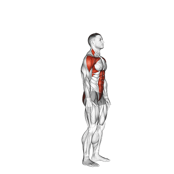 posterior step to overhead reach