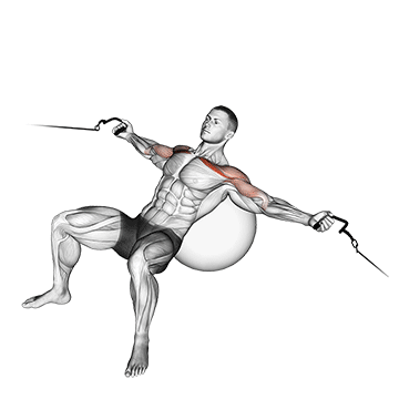 cable incline fly (on stability ball)