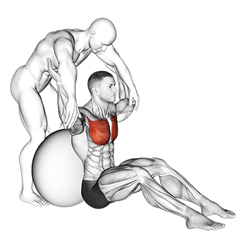 assisted seated pectoralis major stretch with stability ball