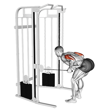 cable two arm tricep kickback