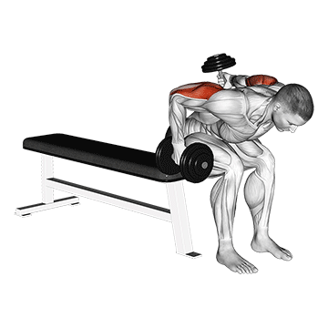 dumbbell seated bent over alternate kickback