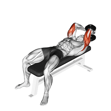 dumbbell lying single extension