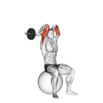 ez bar french press on exercise ball