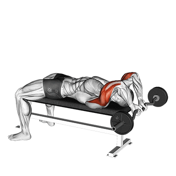 ez bar lying close grip triceps extension behind head