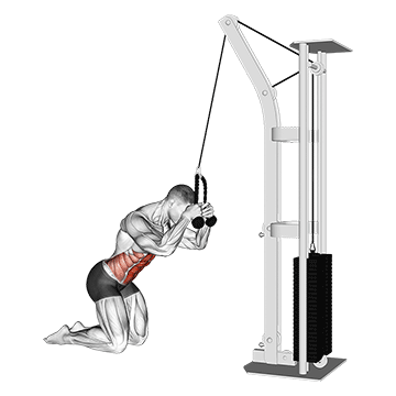 cable kneeling crunch
