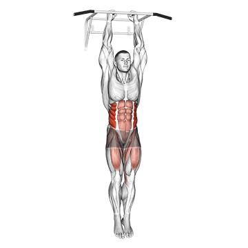 hanging oblique knee raise