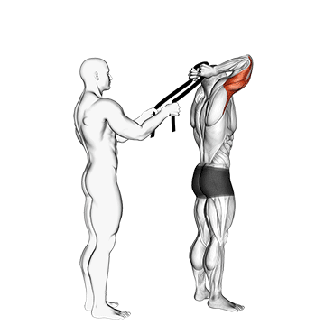 assisted standing triceps extension (with towel)