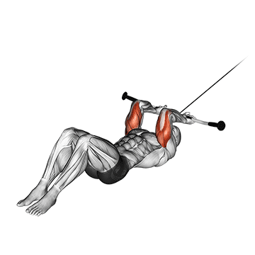 cable lying triceps extension v. 2