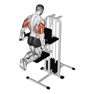 assisted triceps dip (kneeling)