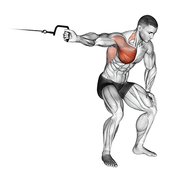 cable one arm lateral bent-over