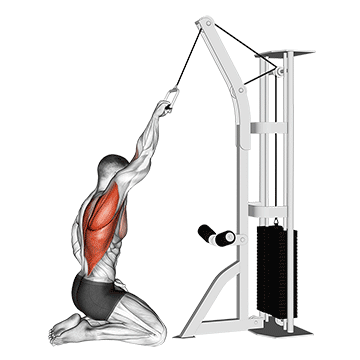 cable one arm straight back high row (kneeling)