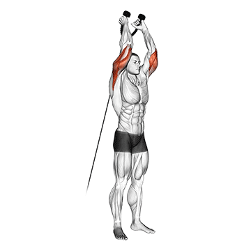 cable overhead triceps extension (rope attachment)