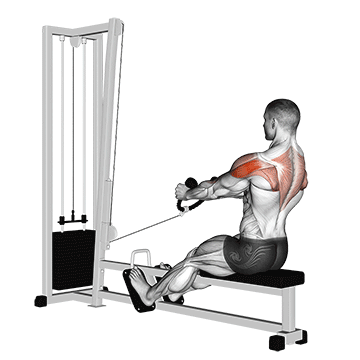 cable rear delt row (stirrups)