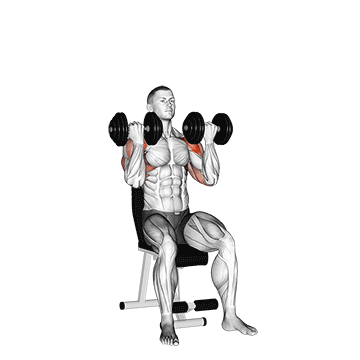 dumbbell arnold press