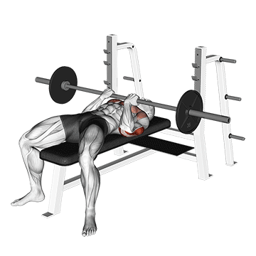 barbell reverse close-grip bench press