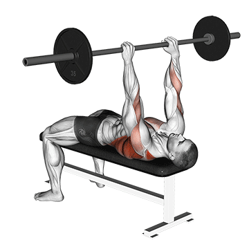 barbell pullover to press