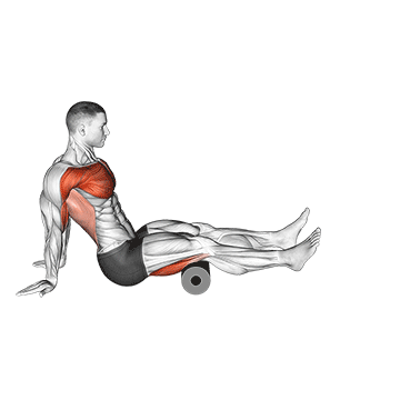 roller seated shoulder flexor depresor retractor