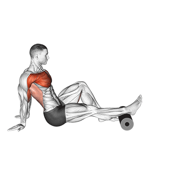 roller seated single leg shoulder flexor depresor retractor