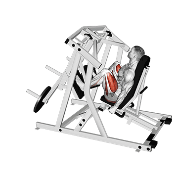 lever alternate leg press