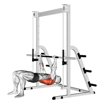 inverted row bent knees