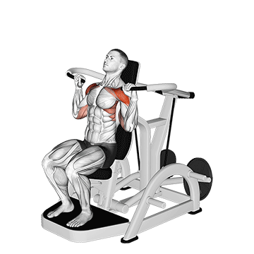 lever shoulder press v. 3
