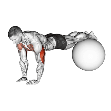 narrow push-up on exercise ball