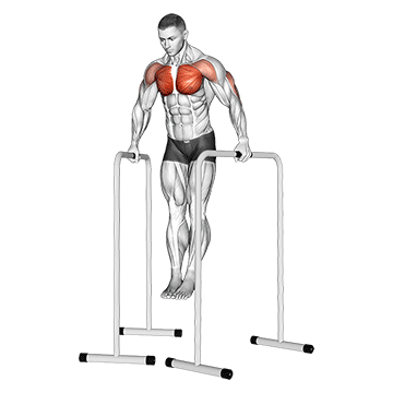 wide-grip chest dip on high parallel bars