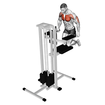 assisted wide-grip chest dip (kneeling)