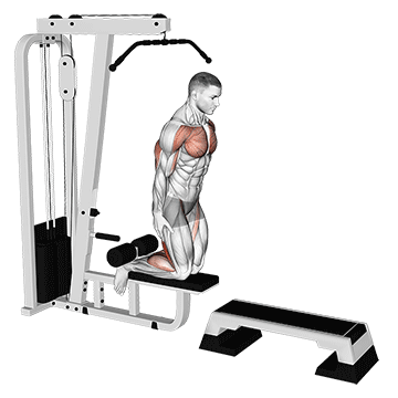 inverse leg curl (on pull-up cable machine)