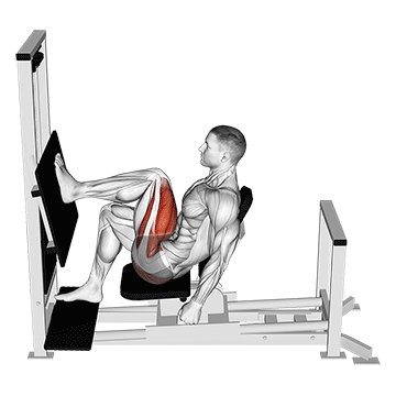 lever horizontal one leg press