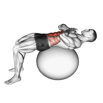 crunch (on stability ball)