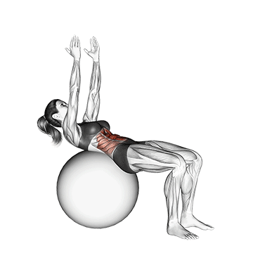 crunch (on stability ball, arms straight)