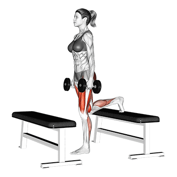 dumbbell step-up lunge