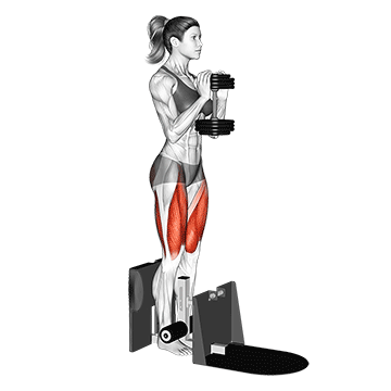 dumbbell supported squat
