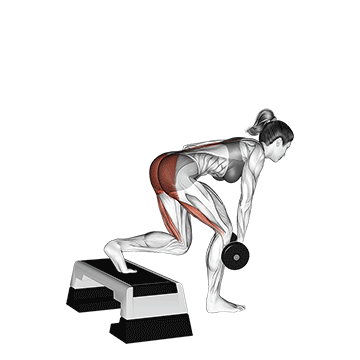 dumbbell single leg deadlift with stepbox support