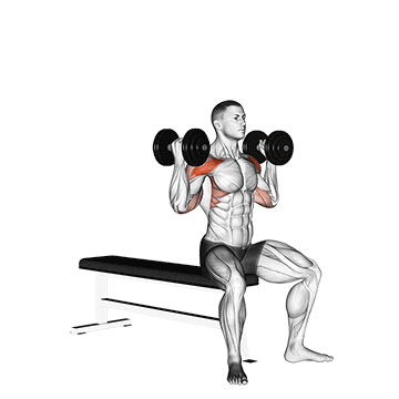 dumbbell arnold press v. 2