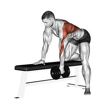 dumbbell one arm bent-over row