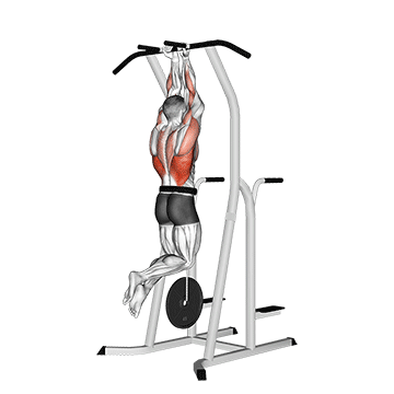 weighted close grip chin-up on dip cage