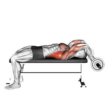 ez bar lying bent arms pullover