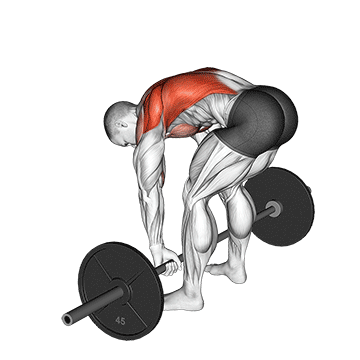 barbell pendlay row