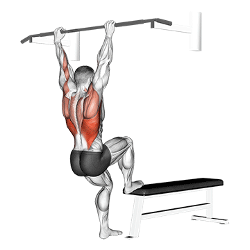 bench pull-ups