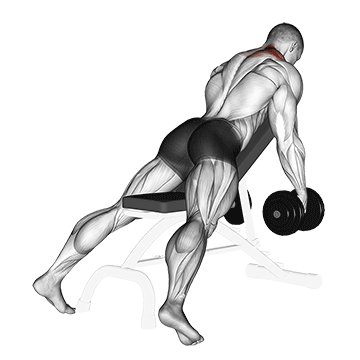 dumbbell decline shrug v. 2
