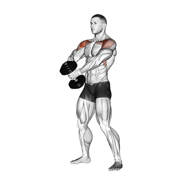 dumbbell front raise v. 2