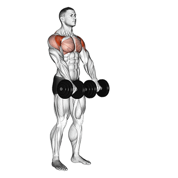 dumbbell front raise