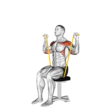resistance band seated shoulder press