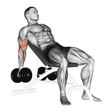 dumbbell incline biceps curl
