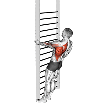 bodyweight standing close-grip one arm row