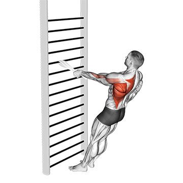 bodyweight standing one arm row (with towel)